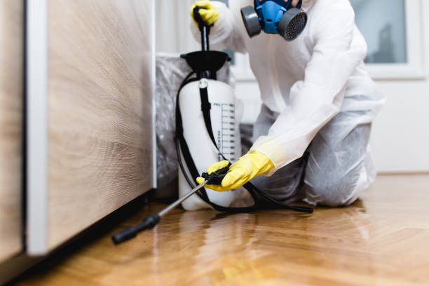 Best Best Pest Control Companies  in Elton, LA