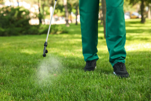 Best Termite Control Services  in Elton, LA