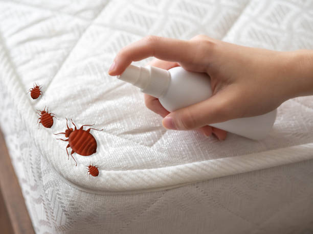 Best Emergency Pest Control  in Elton, LA