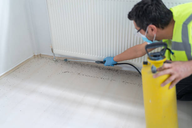 Best Commercial Pest Control Services  in Elton, LA